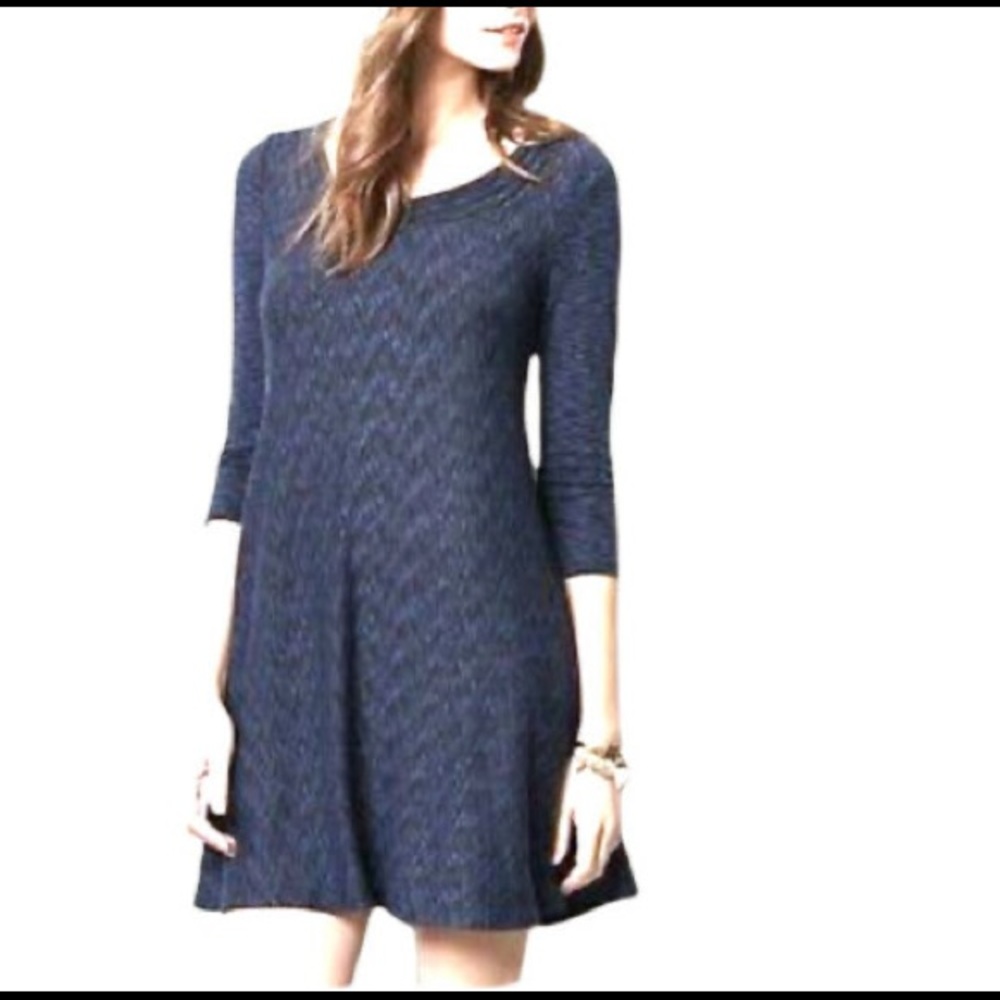 Anthro Saturday Sunday small narva swing dress